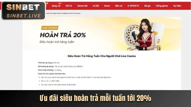 Hoàn trả hàng ngày/tuần KT66VIP
